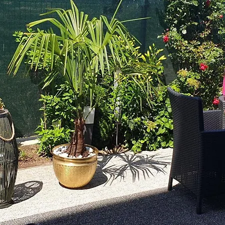 Taan Royal Alojamento de Acomodação e Pequeno-almoço